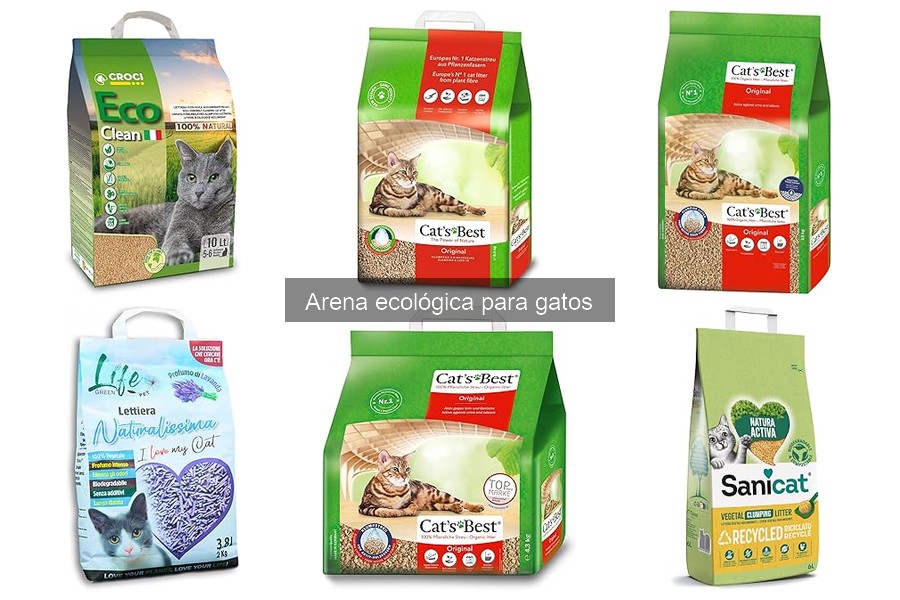 Problemas comunes con la arena ecológica para gatos