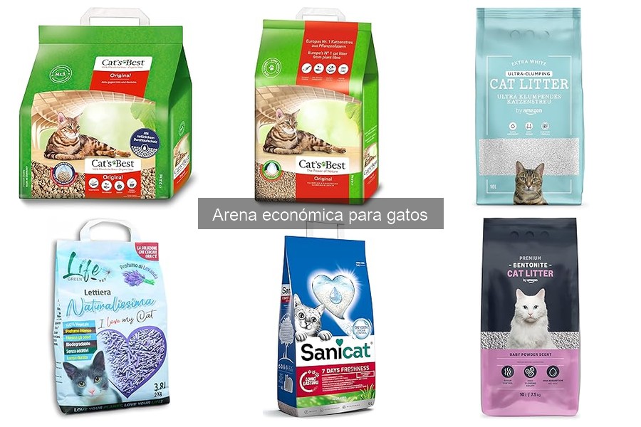 Problemas Comunes con la Arena Económica para Gatos