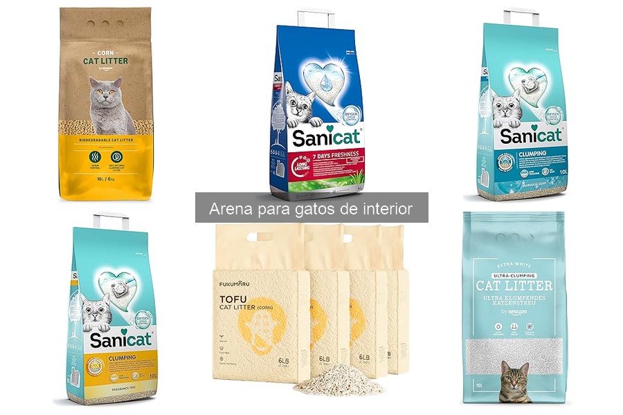 Problemas comunes con la arena para gatos y soluciones