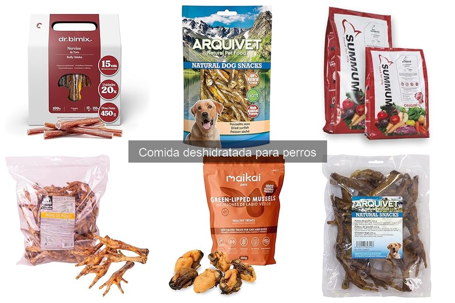 Problemas comunes con la comida deshidratada para perros