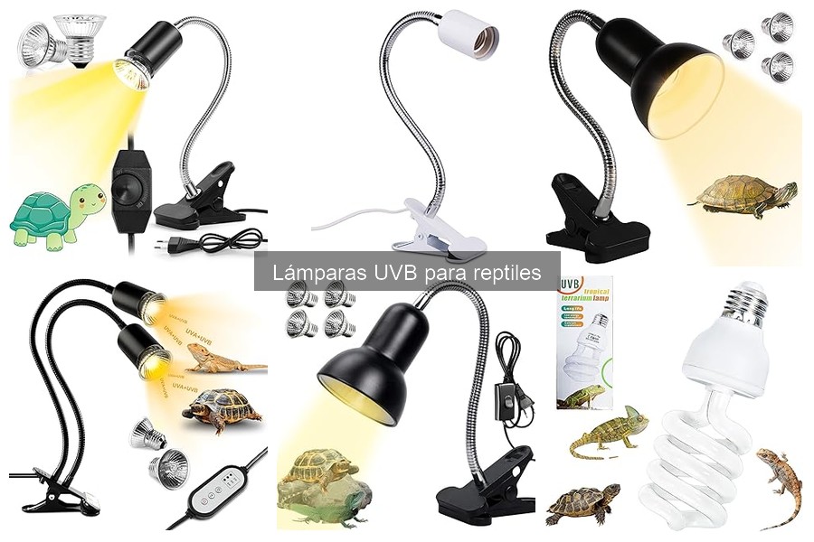 Problemas comunes con lámparas UVB para reptiles y soluciones