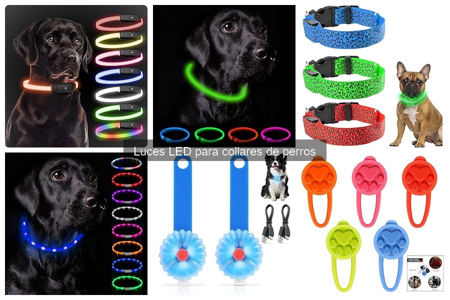 Problemas Comunes con Luces LED para Collares de Perros
