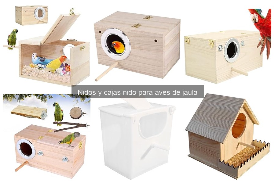 Problemas comunes con nidos y cajas nido para aves