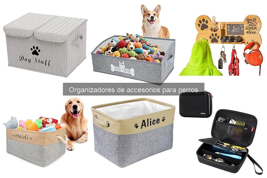 Problemas comunes con organizadores de accesorios para perros