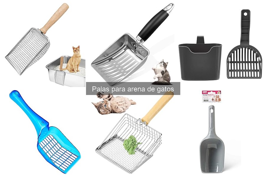 Problemas comunes con palas para arena de gatos y soluciones