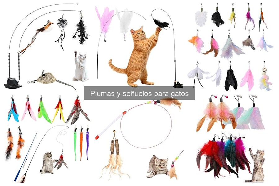 Problemas comunes con plumas y señuelos para gatos