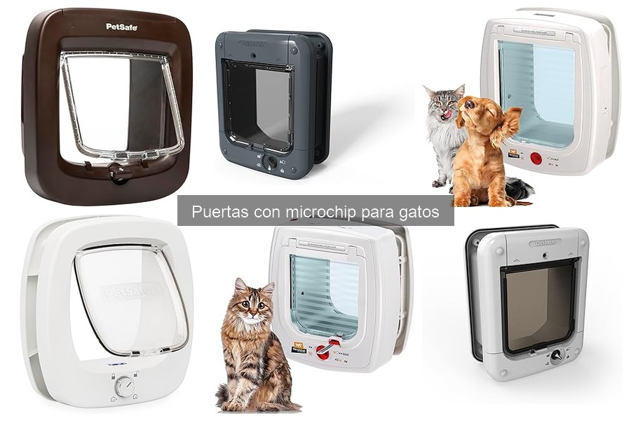Problemas comunes con puertas con microchip para gatos