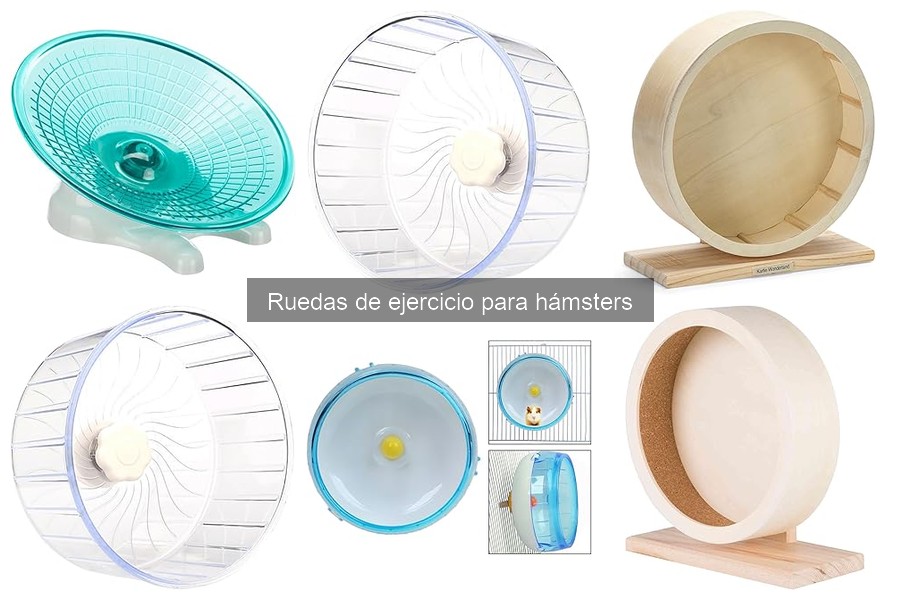 Problemas comunes con ruedas de ejercicio para hámsters
