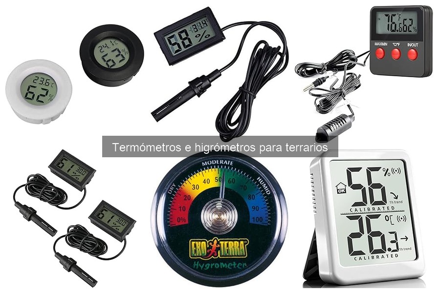 Problemas comunes con termómetros e higrómetros en terrarios