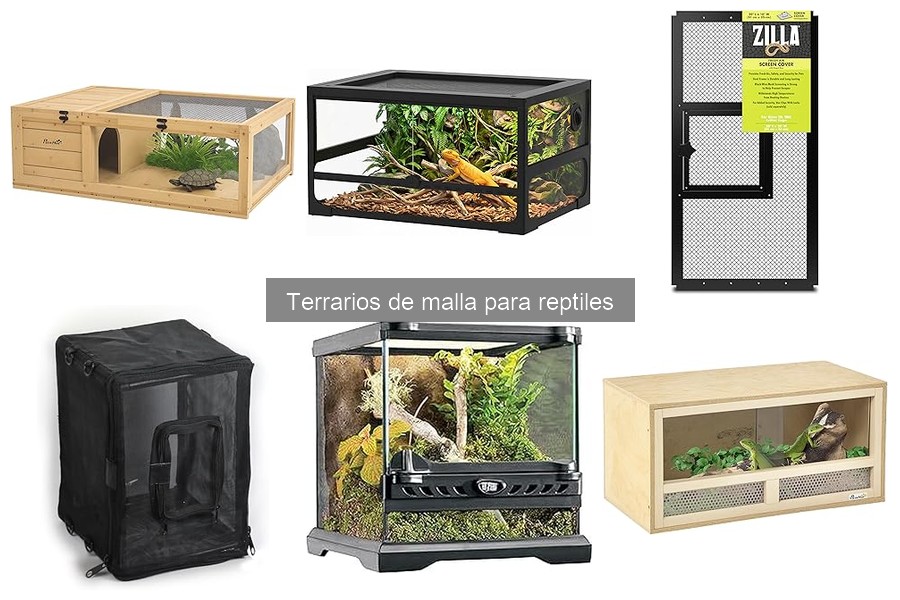 Problemas Comunes con Terrarios de Malla para Reptiles