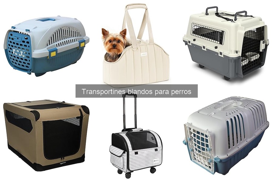 Problemas Comunes con Transportines Blandos para Perros