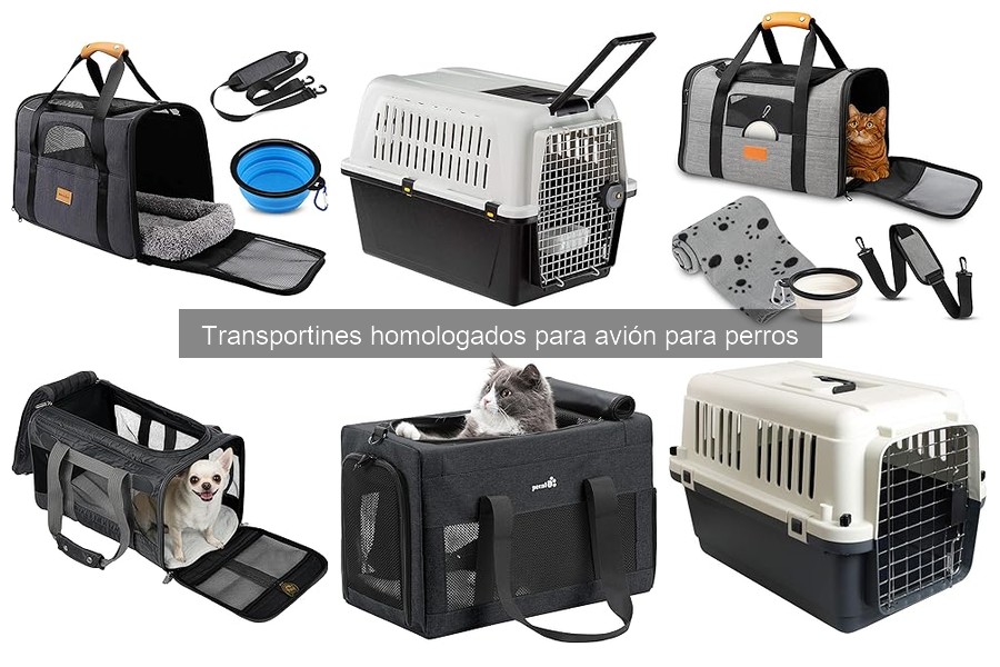Problemas comunes con transportines homologados para perros en avión
