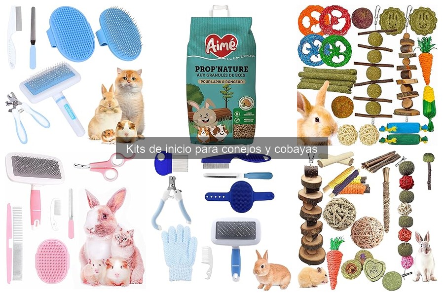 Problemas Comunes en Kits de Inicio para Conejos y Cobayas