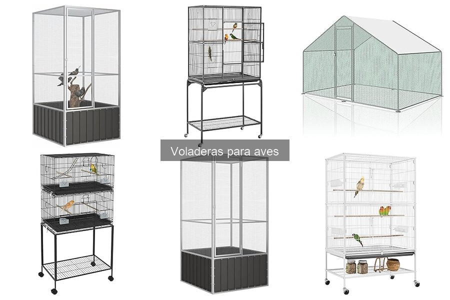 Problemas comunes en voladeras para aves y sus soluciones
