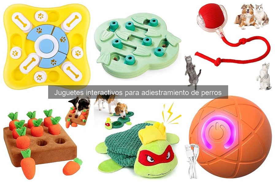 Problemas de Comportamiento en Perros y Juguetes Interactivos