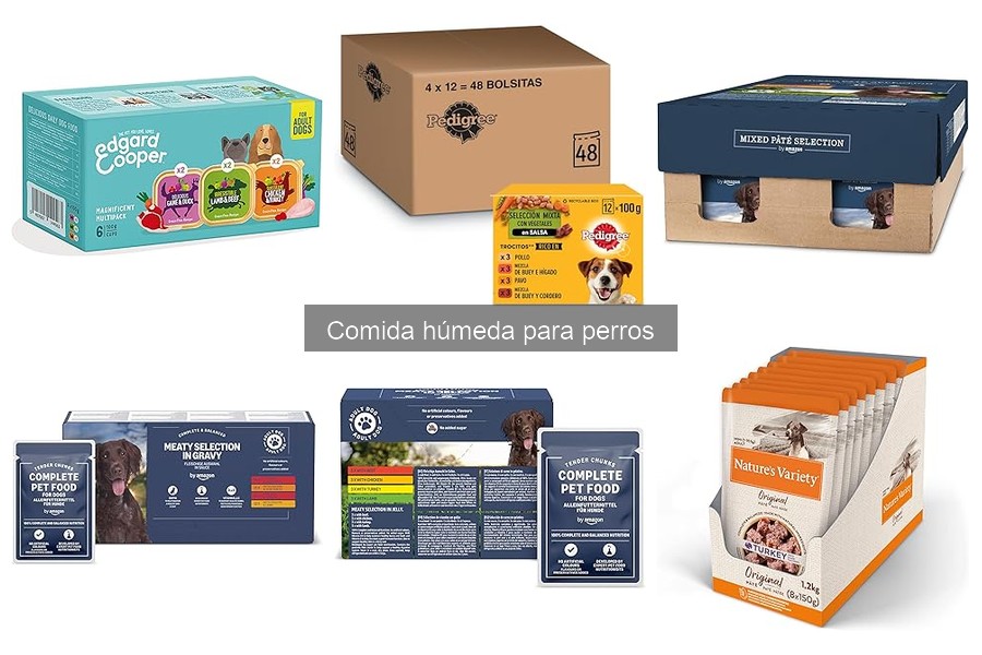 ¿Puede la comida húmeda reemplazar la comida seca para perros?