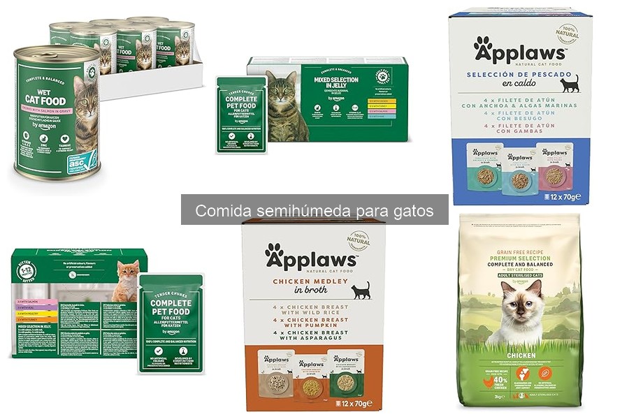 ¿Puede la comida semihúmeda causar problemas en gatos?