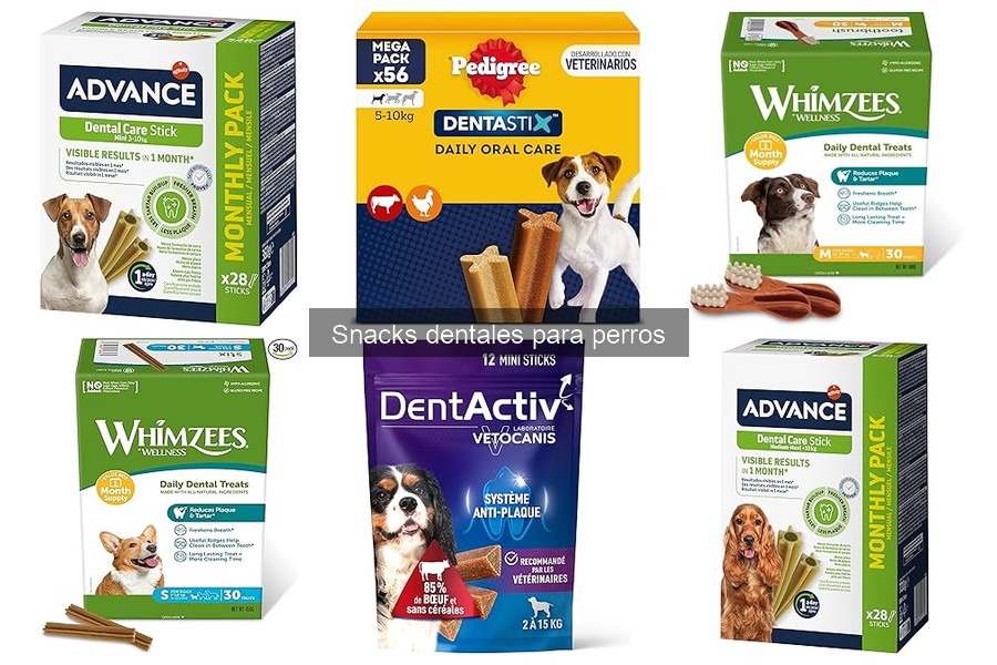 ¿Pueden los snacks dentales reemplazar el cepillado en perros?