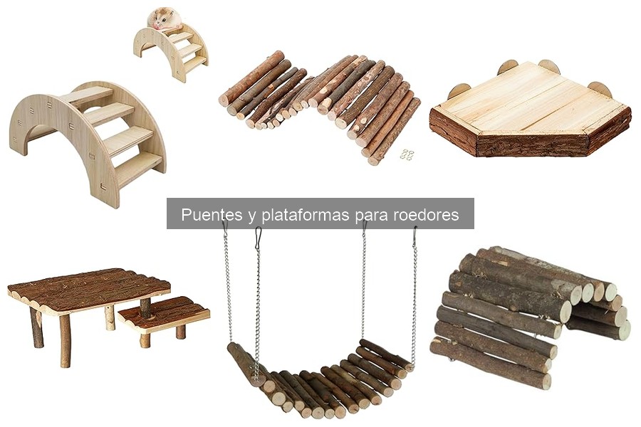 Puentes y plataformas para roedores: ¿Qué son y sus beneficios?