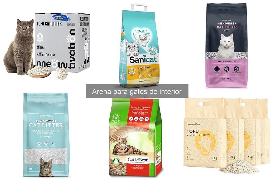 ¿Qué arena para gatos es mejor para problemas respiratorios?