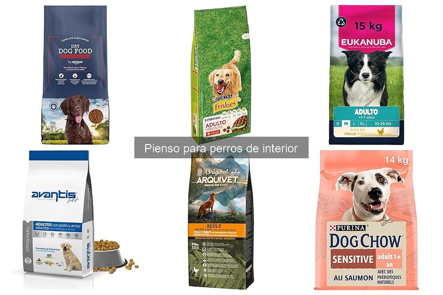 ¿Qué cantidad de pienso necesita un perro de interior?