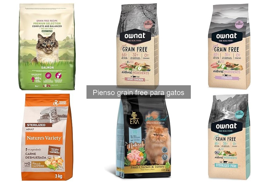 ¿Qué es el pienso grain free para gatos? Beneficios y más