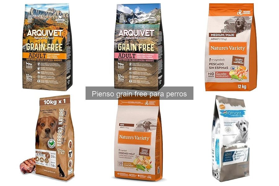 ¿Qué es el pienso grain free para perros? Características