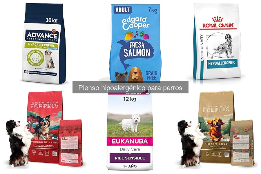¿Qué es el pienso hipoalergénico para perros?
