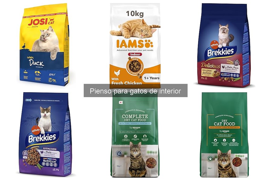 ¿Qué es el pienso para gatos de interior? Beneficios y características