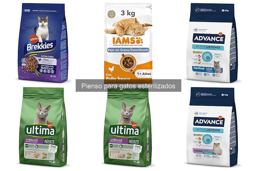 ¿Qué es el pienso para gatos esterilizados? Beneficios y componentes