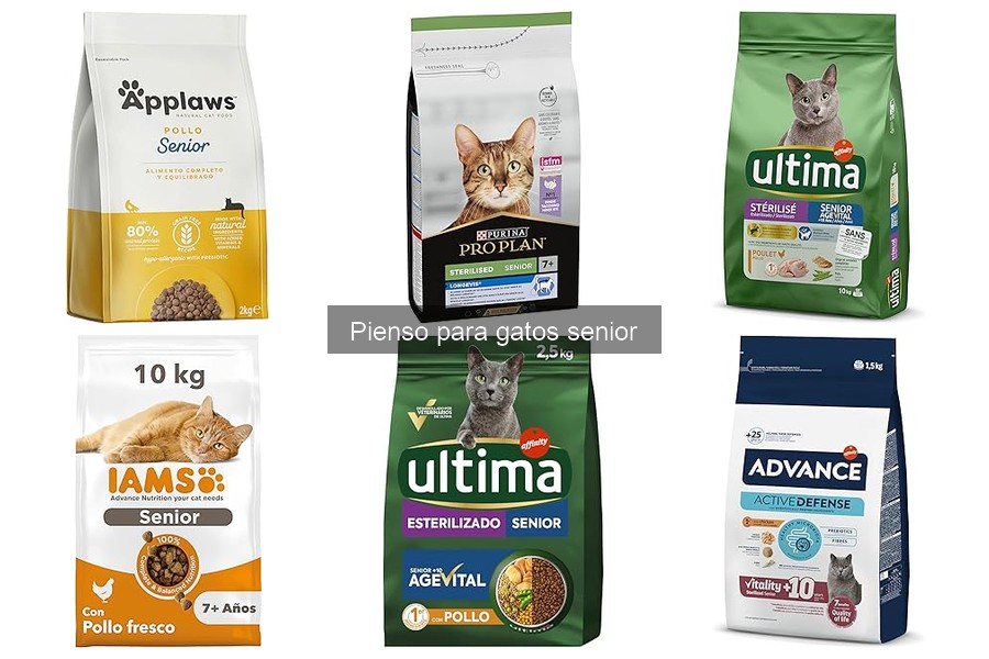 ¿Qué es el pienso para gatos senior? Guía completa