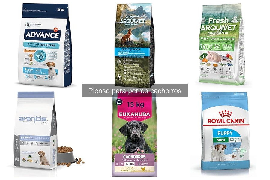 ¿Qué es el pienso para perros cachorros? Guía esencial