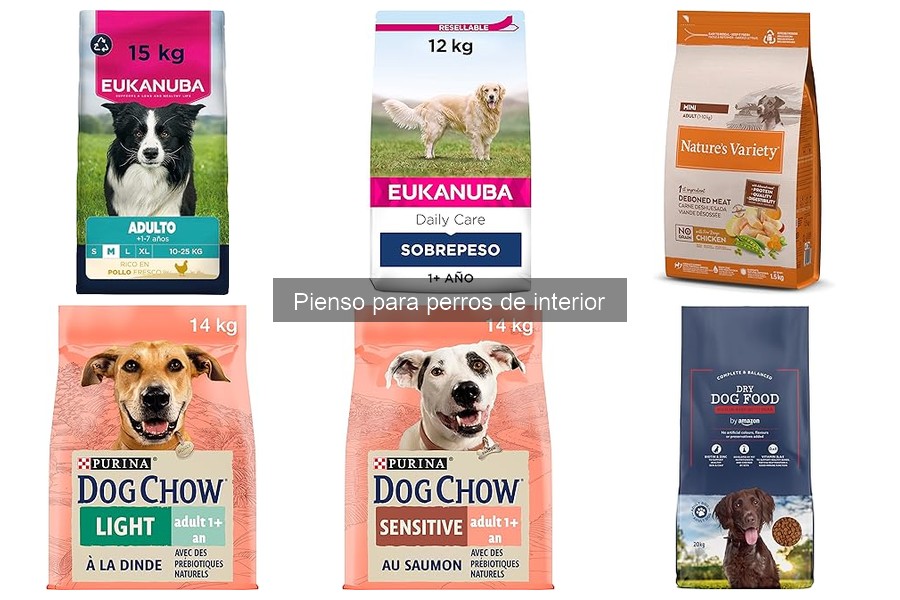 ¿Qué es el pienso para perros de interior? Características y beneficios