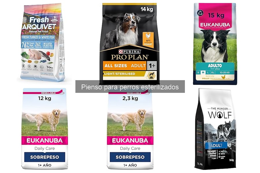 ¿Qué es el pienso para perros esterilizados? Guía 2023