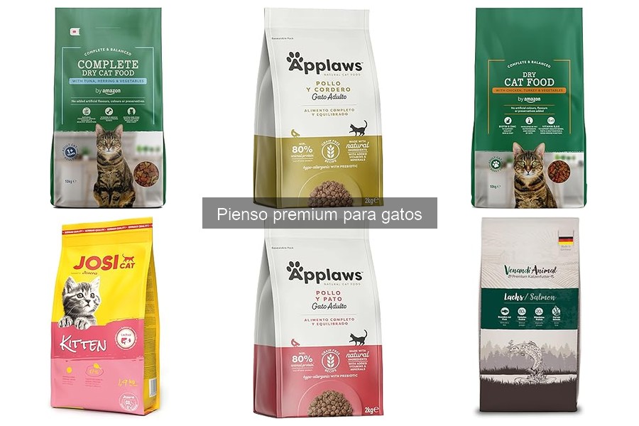 ¿Qué es el pienso premium para gatos? Descubre sus beneficios