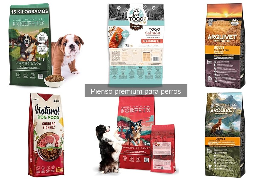 ¿Qué es el pienso premium para perros? Descubre sus beneficios