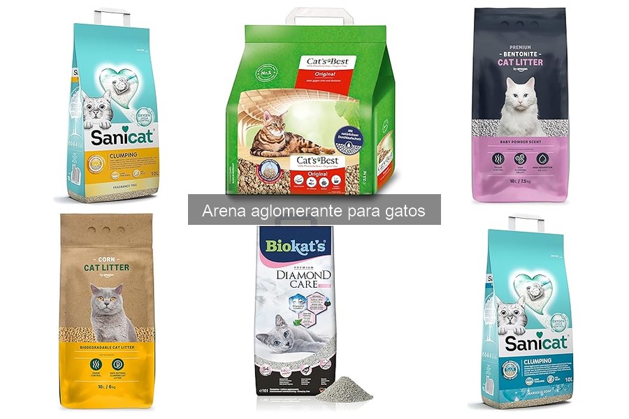 ¿Qué es la arena aglomerante para gatos? Guía completa