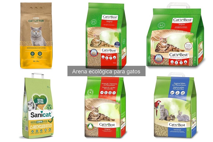 ¿Qué es la arena ecológica para gatos? Todo lo que debes saber