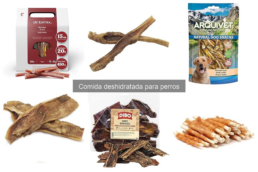 ¿Qué es la comida deshidratada para perros? Guía completa