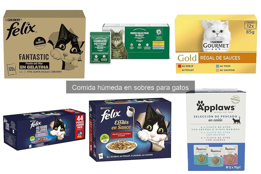 ¿Qué es la comida húmeda en sobres para gatos? Beneficios y tipos