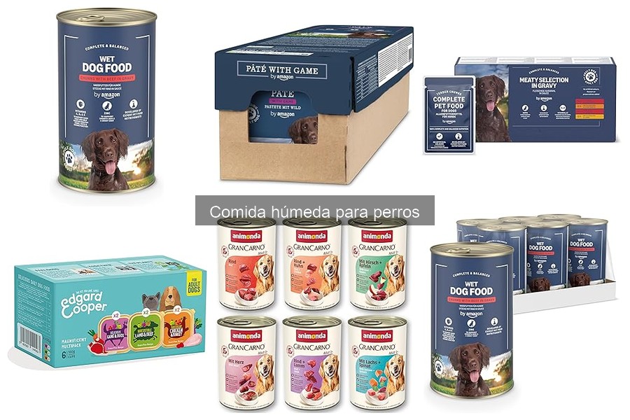 ¿Qué es la comida húmeda para perros? Beneficios y características