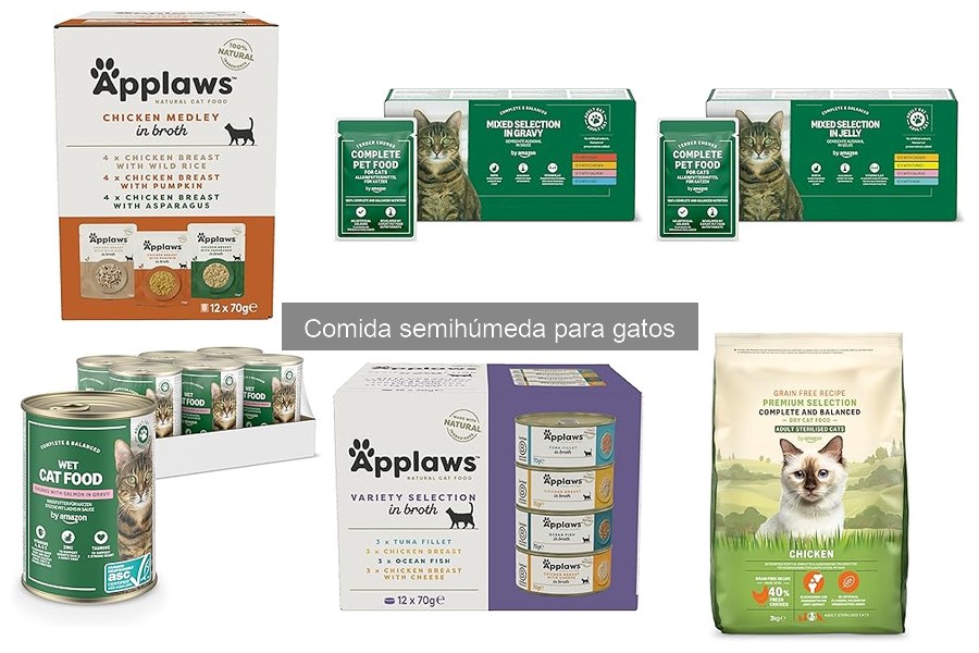 ¿Qué es la comida semihúmeda para gatos? Características y más
