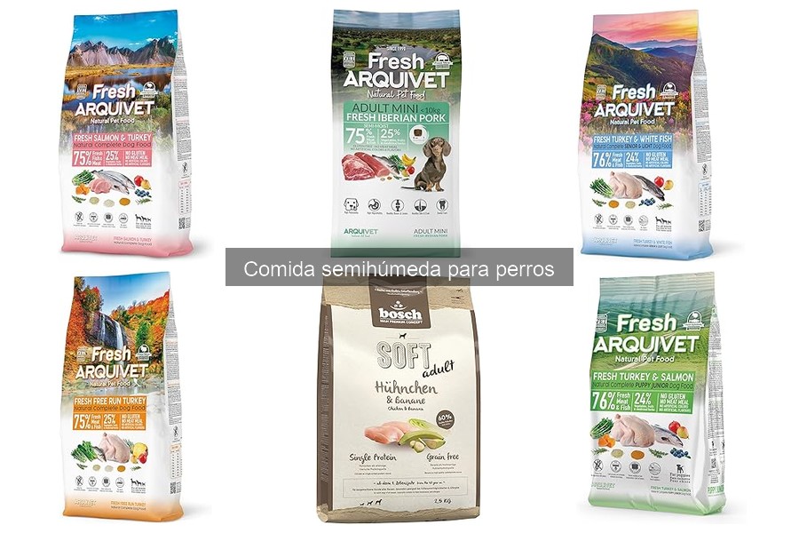 ¿Qué es la comida semihúmeda para perros? Beneficios y características