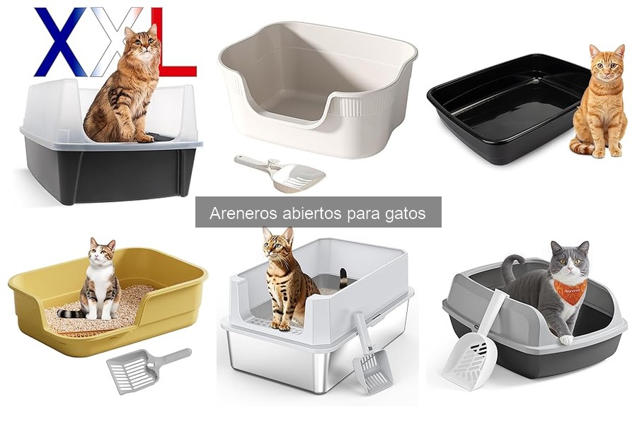 ¿Qué es un arenero abierto para gatos? Características y ventajas
