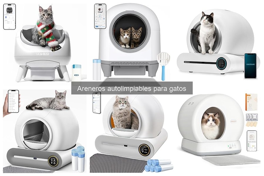¿Qué es un arenero autolimpiante para gatos? Guía básica