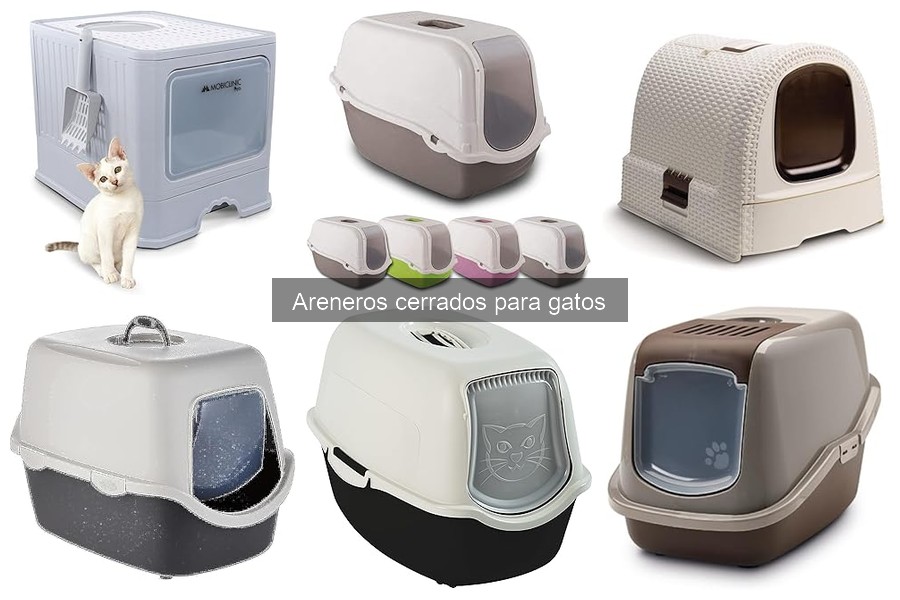 ¿Qué es un arenero cerrado para gatos? Beneficios y características