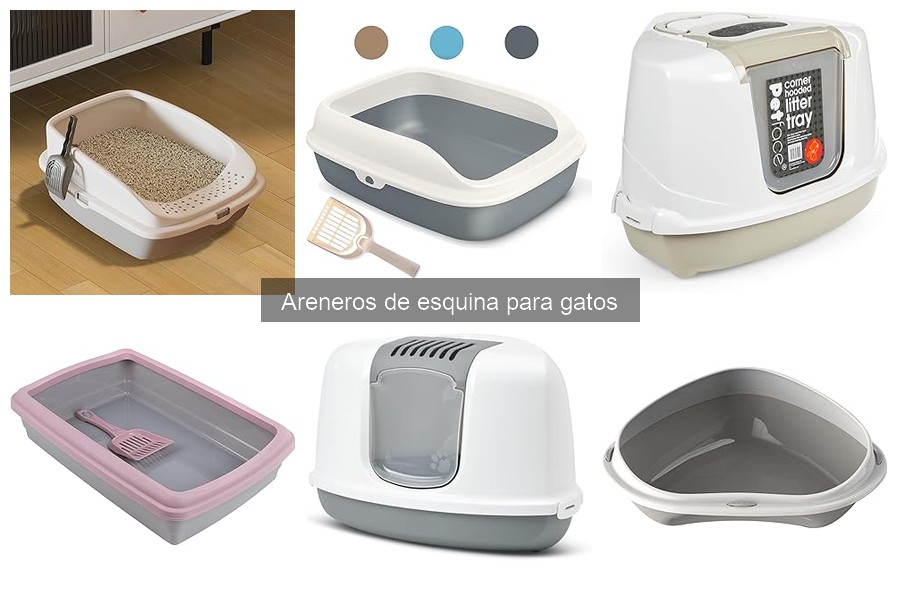¿Qué es un arenero de esquina para gatos? Funcionalidad y diseño