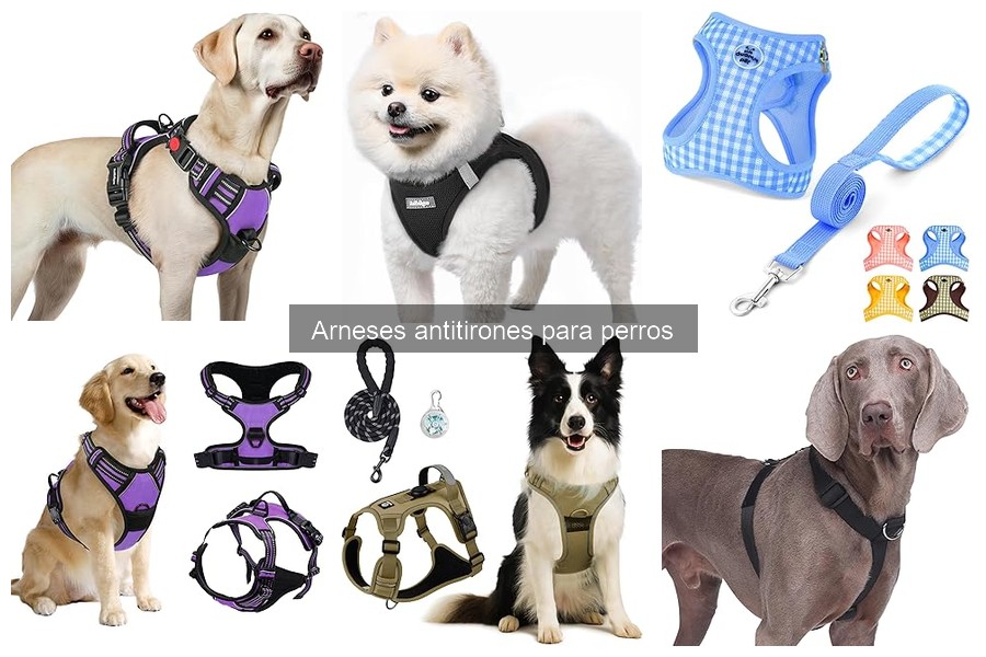 ¿Qué es un arnés antitirones para perros? Guía explicativa