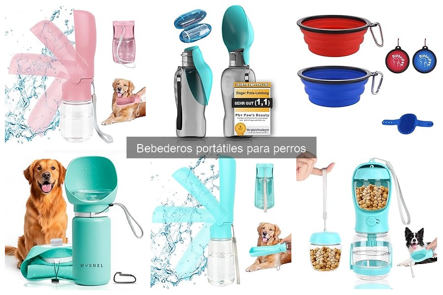 ¿Qué es un bebedero portátil para perros? Guía rápida