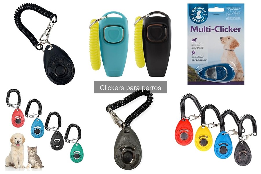 ¿Qué es un clicker para perros? Guía de adiestramiento